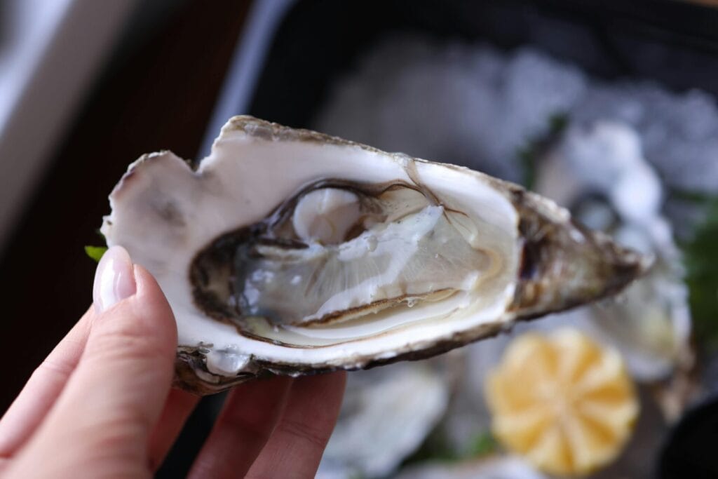 Close-up of hand holding fresh oyster in Woodbine MD
